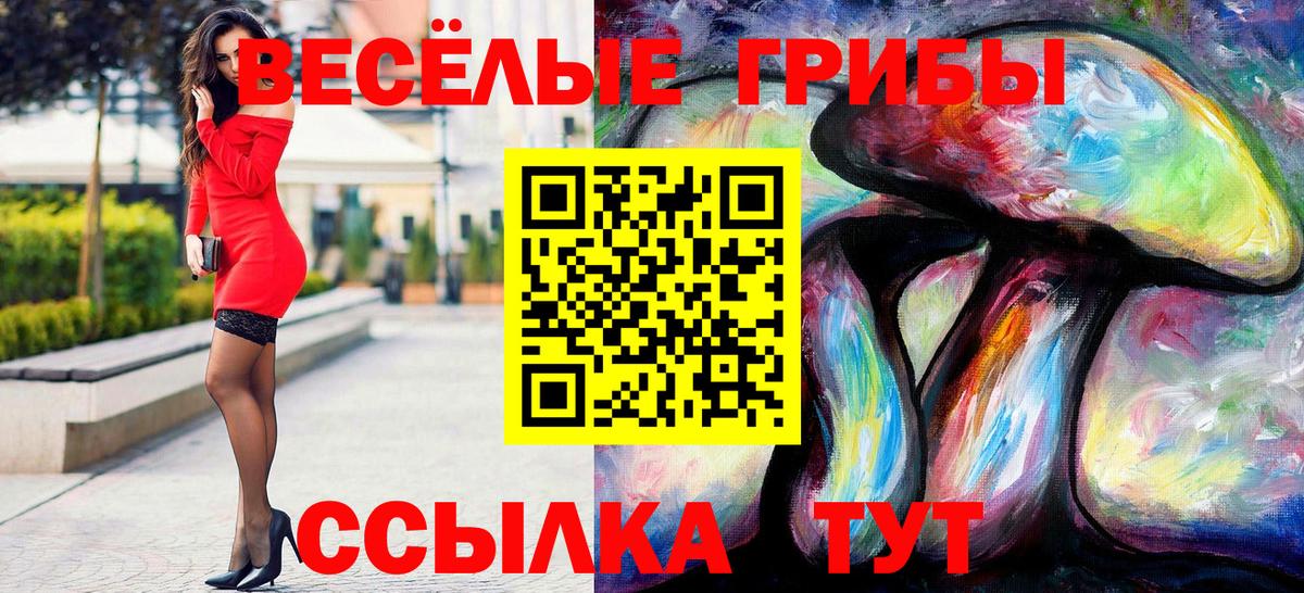 Галлюциногенные грибы прущие грибы Серпухов