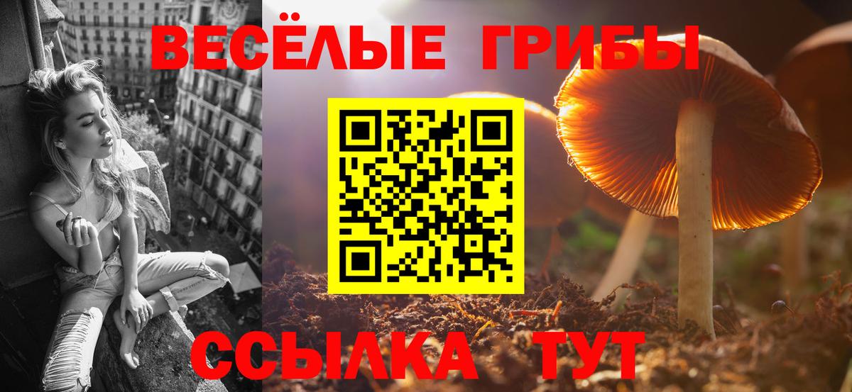 Галлюциногенные грибы Psilocybine cubensis  Вход с VPN  Серпухов  Галлюциногенные грибы Psilocybe 